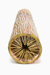 Corn on the cob