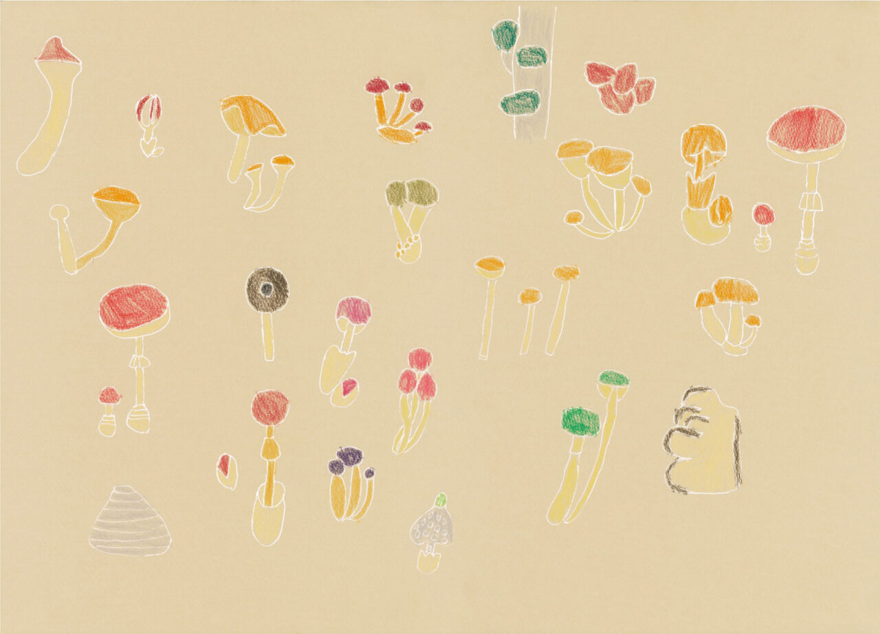 Mushroom