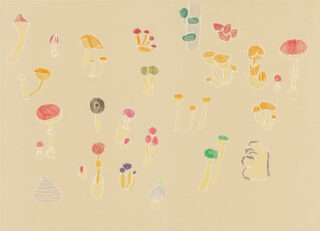 Mushroom