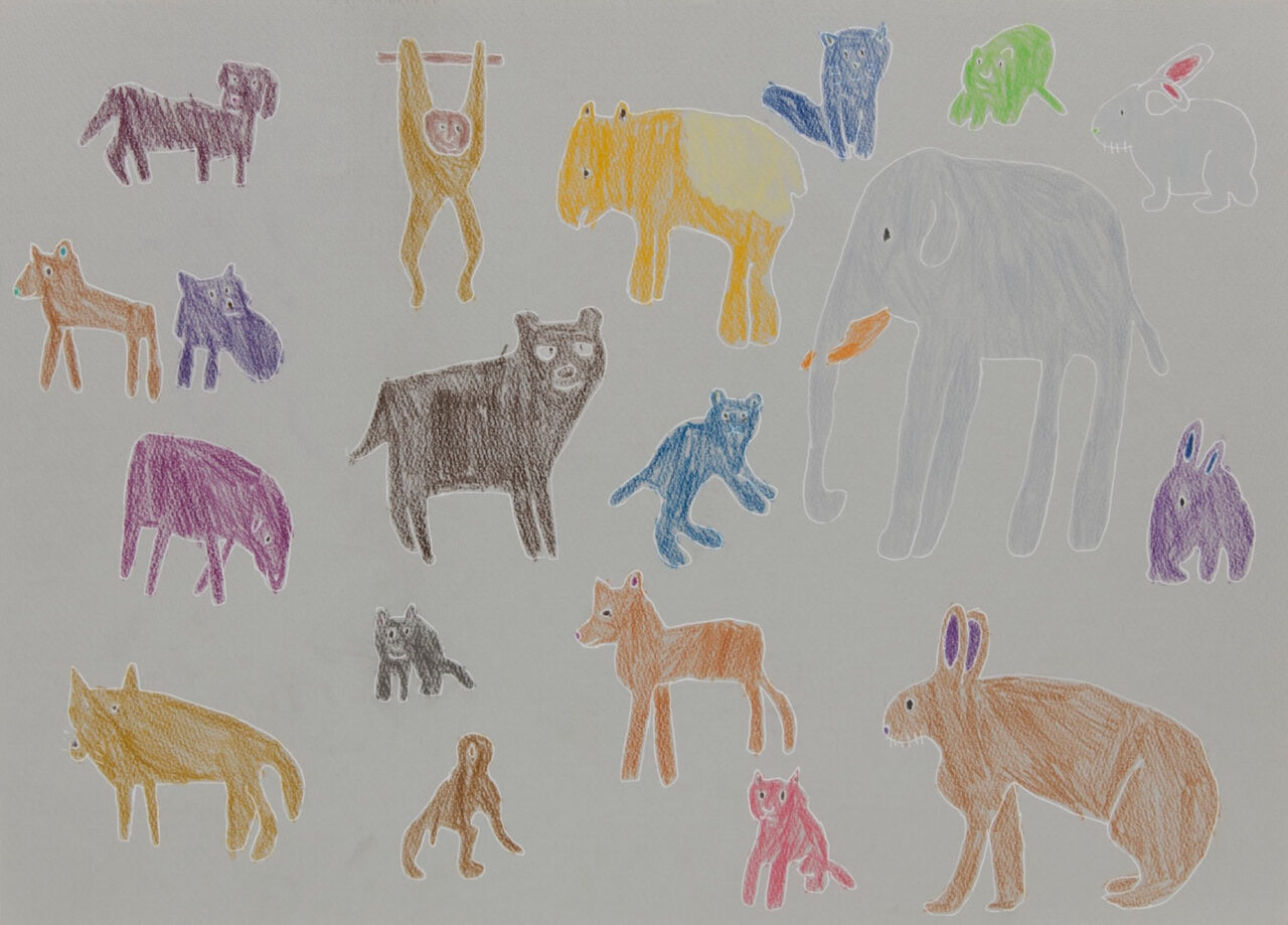 Animal