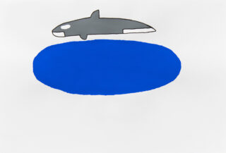 Killer whale show