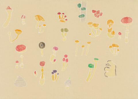 Mushroom